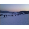 LVM Rhausen 02 2012 32.jpg